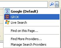 grok search