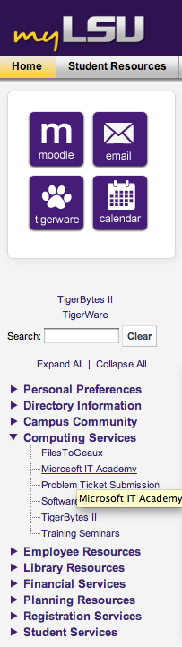 screenshot of myLSU: Microsoft IT Academy