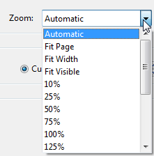 screenshot of zoom tab
