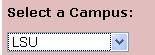 screenshot of the lsu drop-down box.