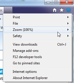 screenshot of zoom selected