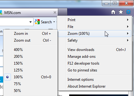 screenshot of zoom drop menu