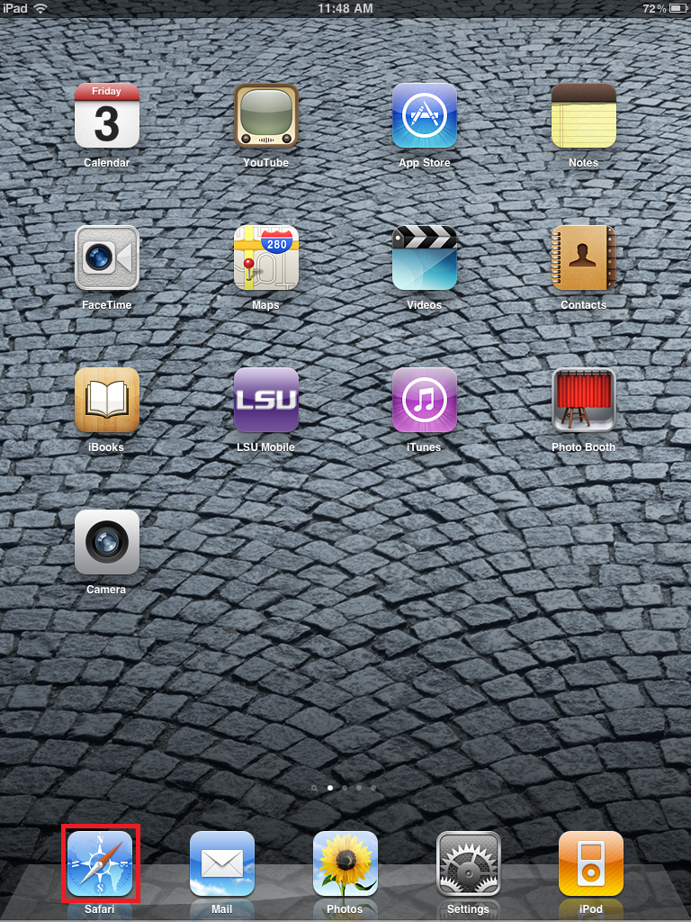 Screen shot of safari