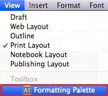 screenshot of view drop menu with Formatting Palette highlighted