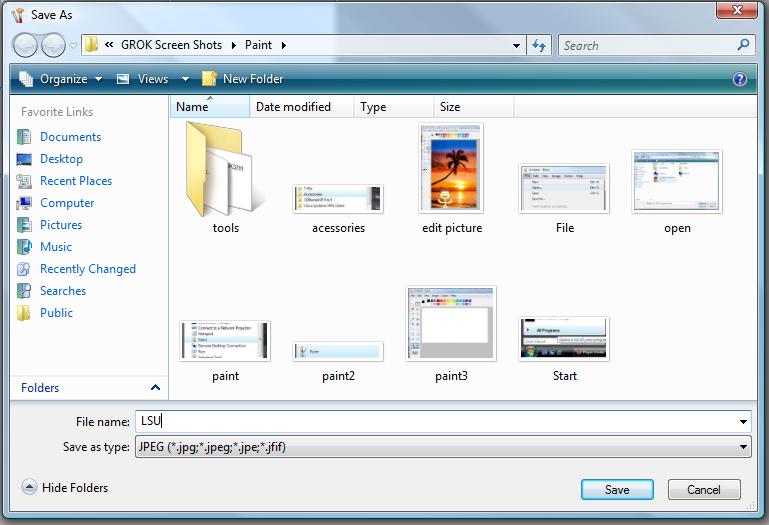 screenshot of save as window.