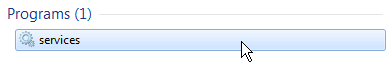 services option on the programs window