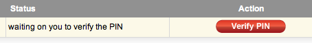 Verify Pin window