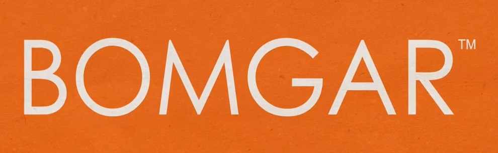 screenshot of bomgar logo