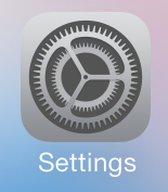 the iphone settings icon