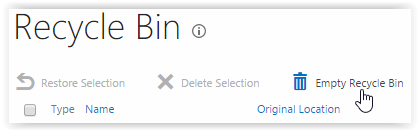 Screenshot of Recycle Bin page with Empty Recycle Bin selected