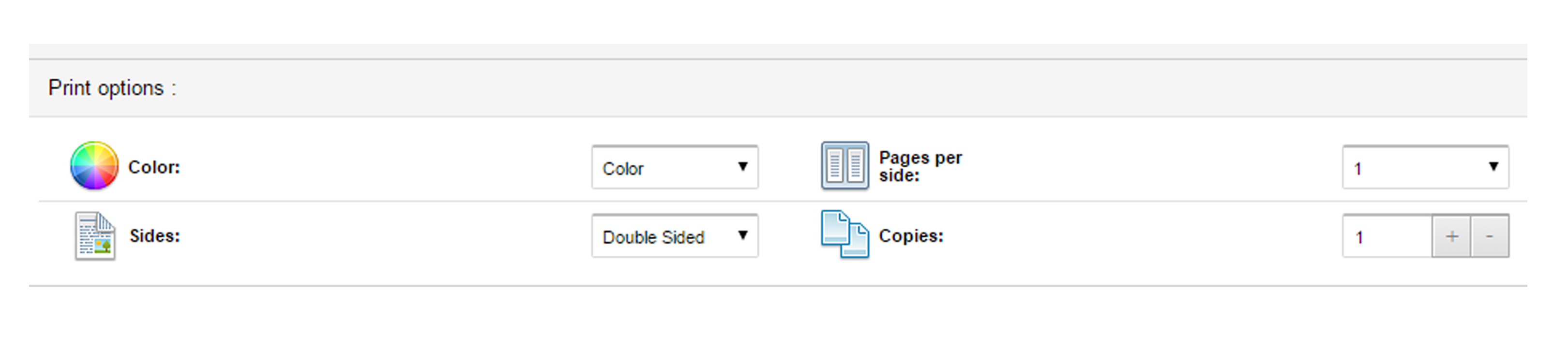 Print settings - including color and slide orientation. 