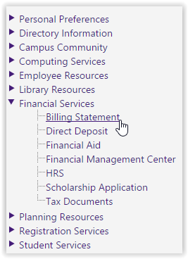 financial services drop menu with billing statement highlighted