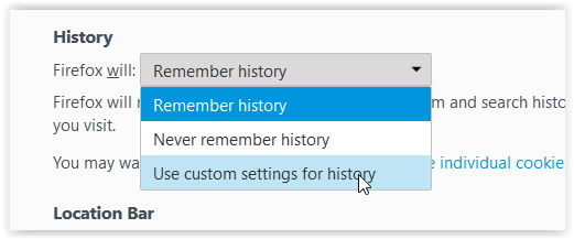 Privacy tab: Remember history selected with Use custom settings for history highlighted.