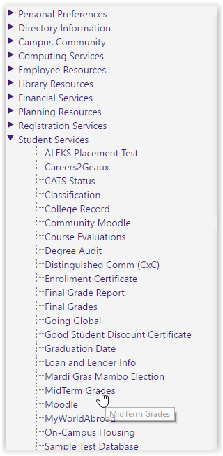 Lsu myportal student services