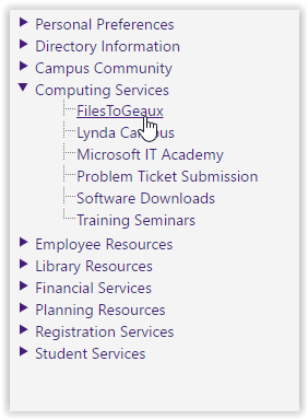 FilesToGeaux option