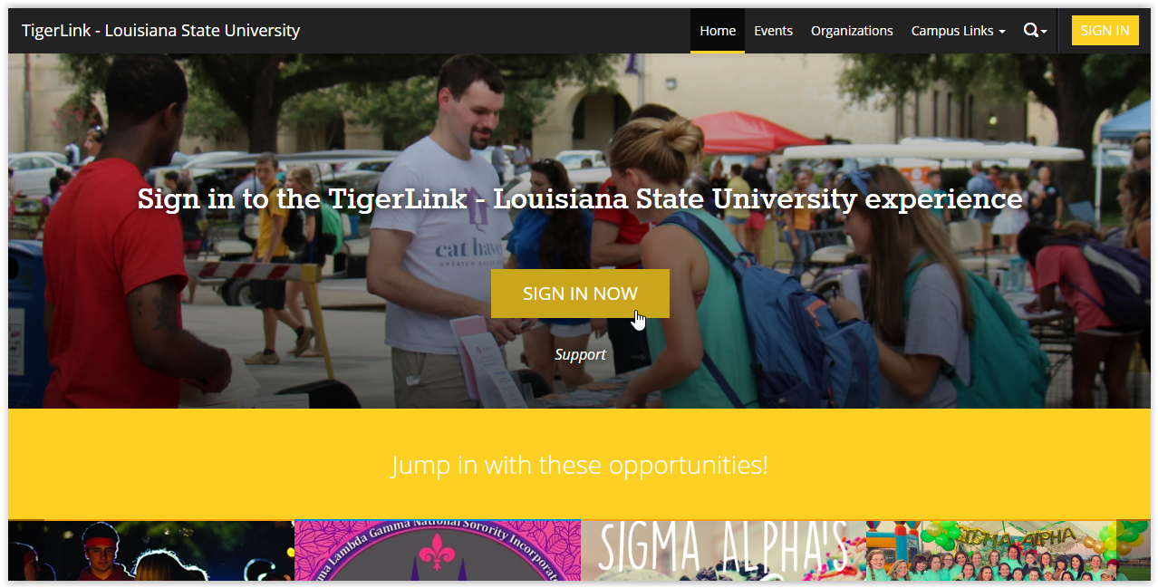 Tigerlink webpage