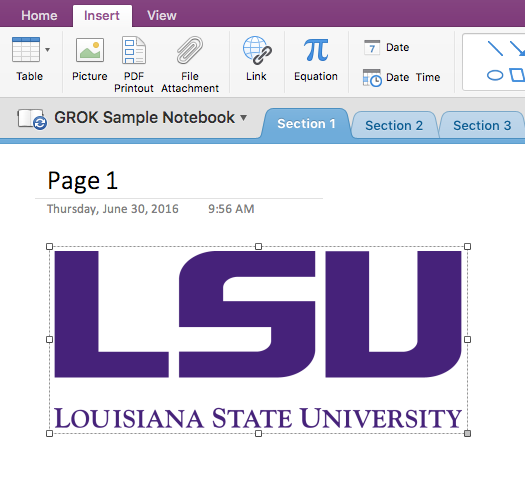 Onenote for mac 2016 image text