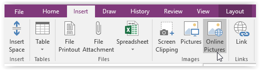 Insert Online Pictures option