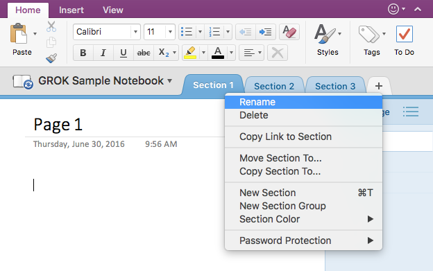 Rename section option highlighted