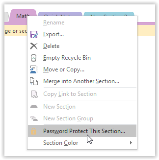 -password protect this section option on the dropdown menu
