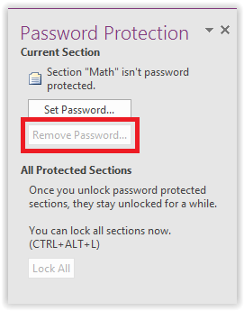 the password protection task pane