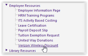 Verizon Wireless Discount option