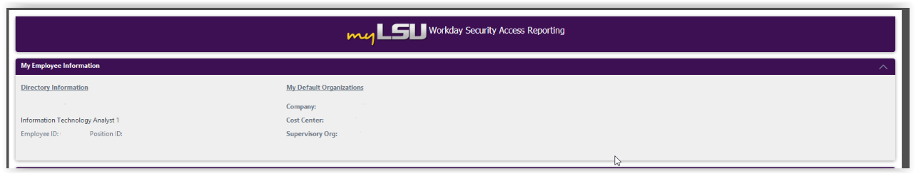 Workday Security Access Reporting slip