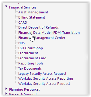 Financial Data Model (FDM) Translation under Financial services in myLSU portal