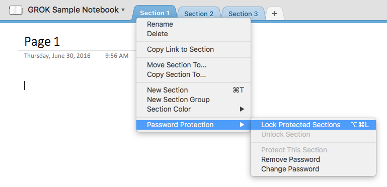 Password Protection option
