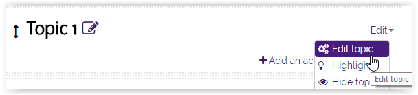 Edit topic option