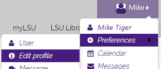 Preferences option located at the top right corner of the page