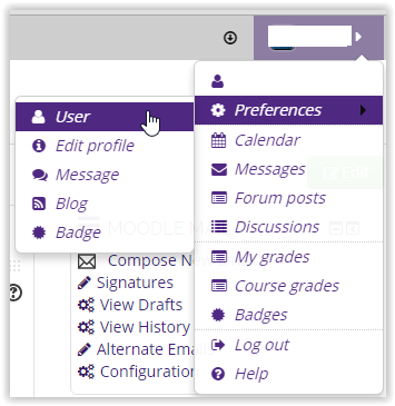 user on the preferences dropdown menu