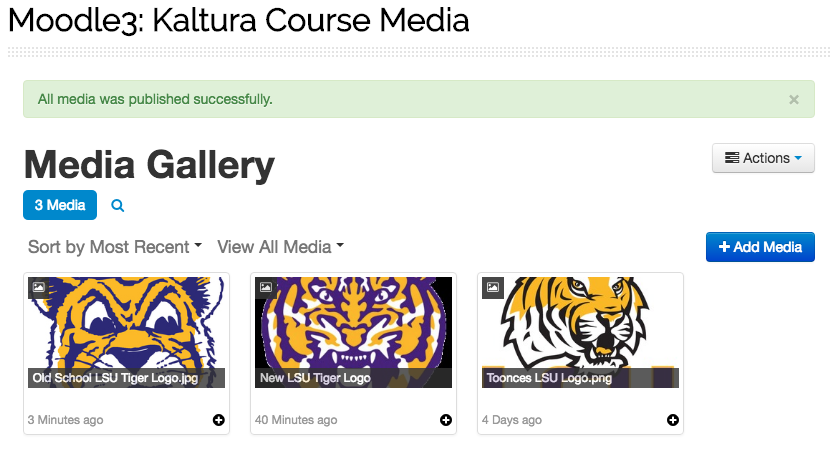 Course Media Gallery window