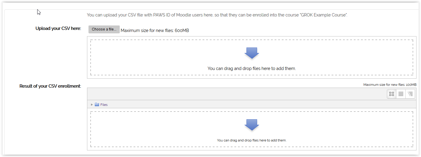 the manage uploaded files window