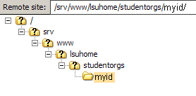 "student_organizations/myid", it would be the URL of your Web stie.