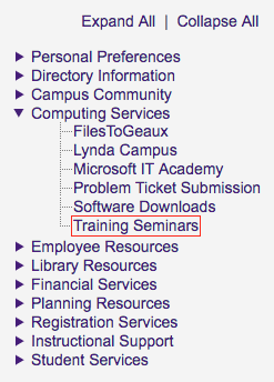 myLSU Training Seminars link