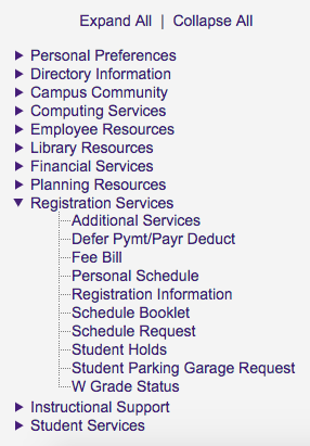 myLSU W Grade Status link