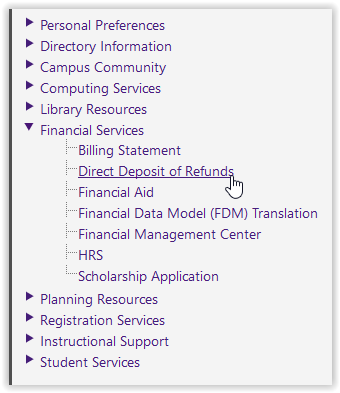 Financial services/direct deposit of refunds options in myLSU