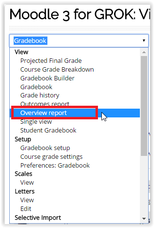 overview report under the view section