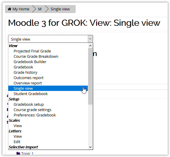 Single view option in moodle gradebook