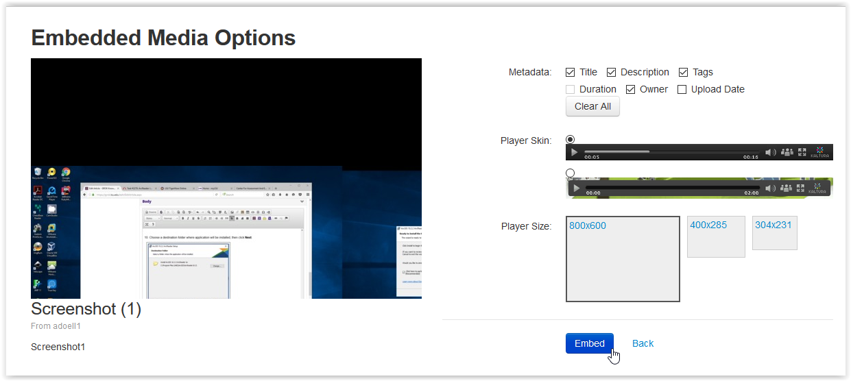 embedded media options on kaltura