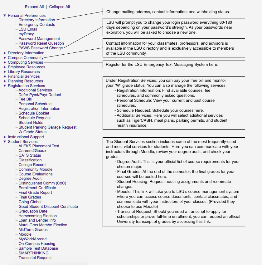 myLSU Portal definitions expanded
