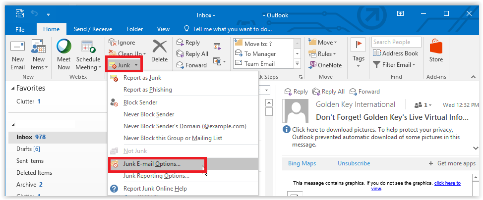 opening junk email options