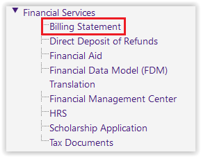 Billing statement option under financial services 
