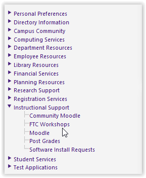 FTC Workshops under Instructional Support
