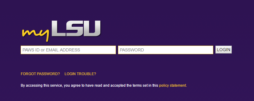 my LSU login screen