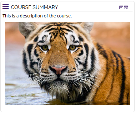course summary block with test description and image of tiger