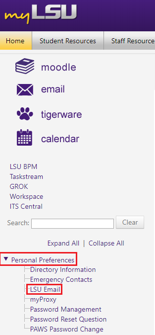 LSU Email under Personal Preferences