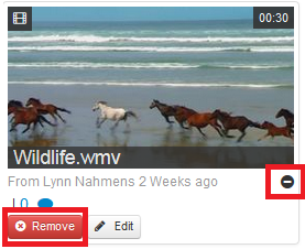 remove video from course media gallery