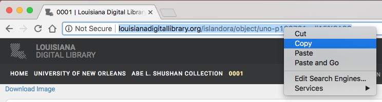 Copy URL option